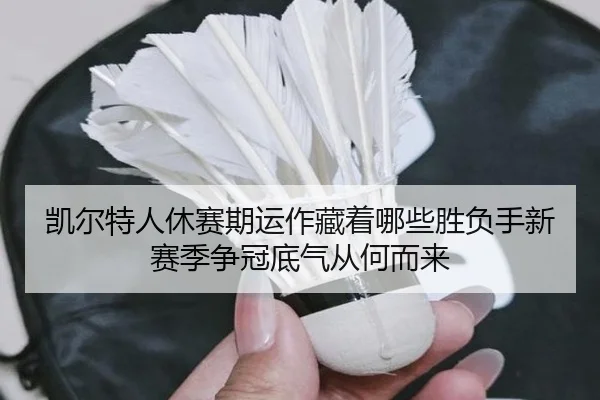 凯尔特人休赛期运作藏着哪些胜负手新赛季争冠底气从何而来